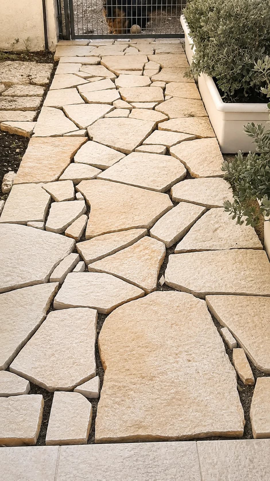 Camminamento da giardino in lastre di pietra irregolari